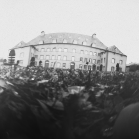 STENOPE017