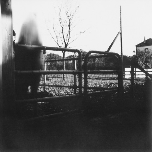 STENOPE008