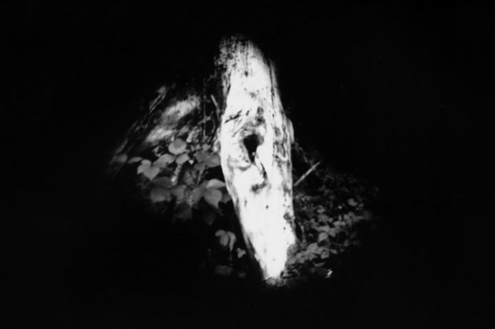 03_Scan_caw_expo