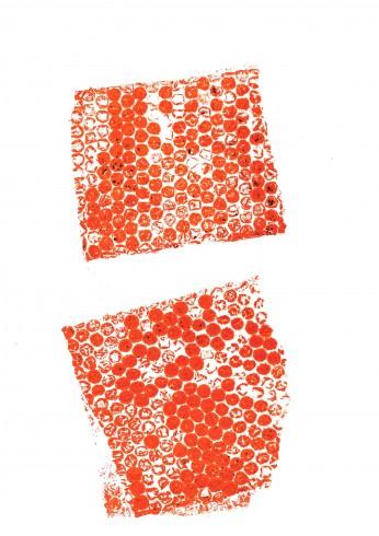 doc01021920220126160118