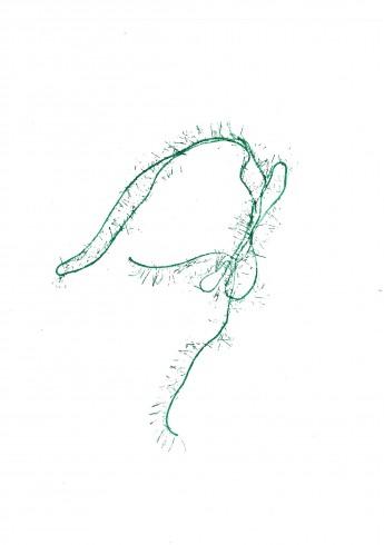 doc01031720220202145127