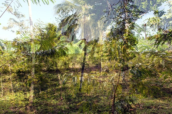 flora_9