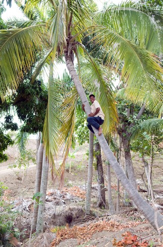 série_Haïti46