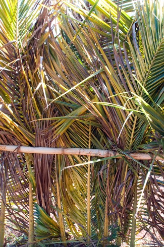 série_Haïti40