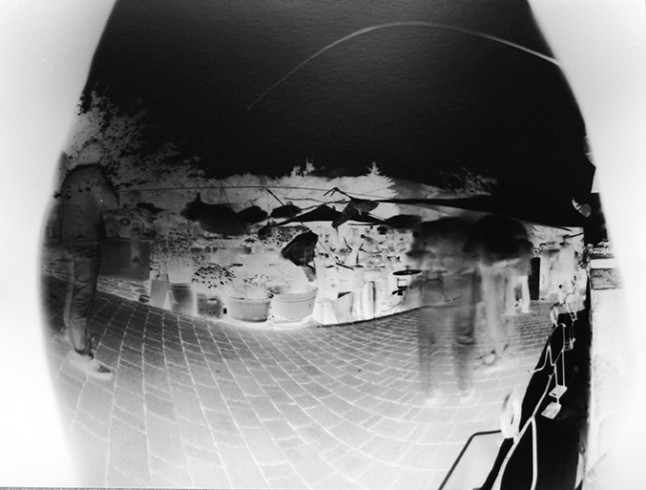 _DSC2009