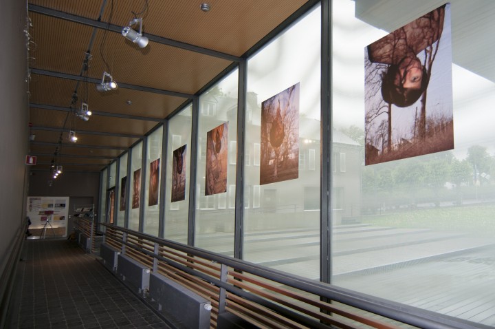 vue_expo6