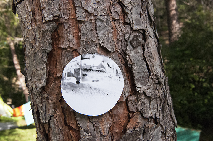 onTrees10
