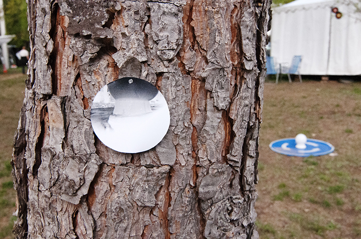 onTrees11