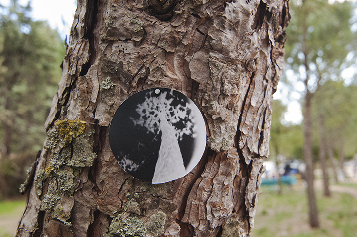 onTrees1