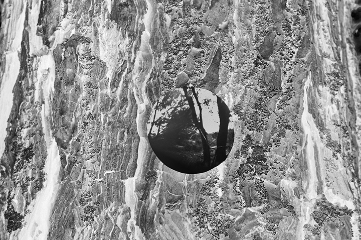 onTrees19