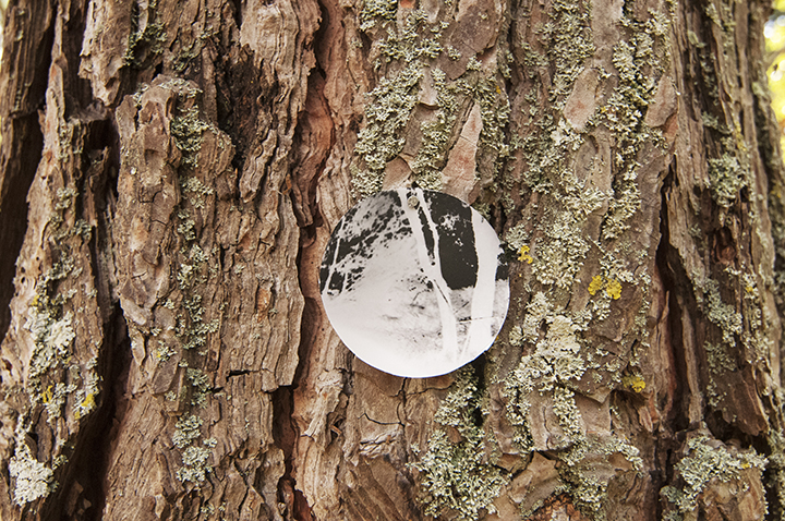 onTrees3