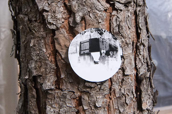 onTrees8