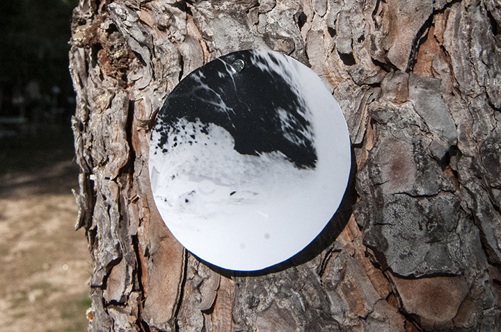 onTrees14