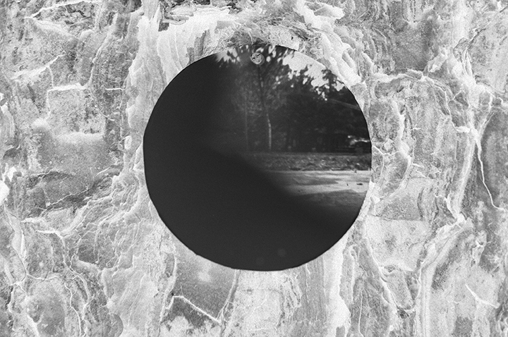 onTrees21