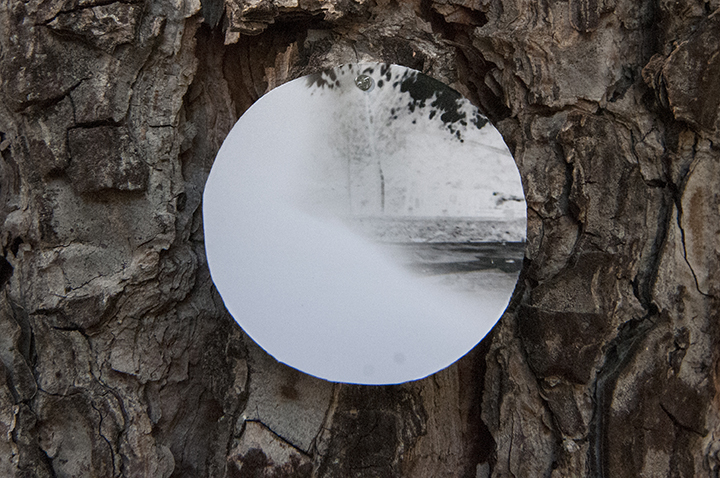 onTrees6