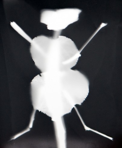 rayogramme1