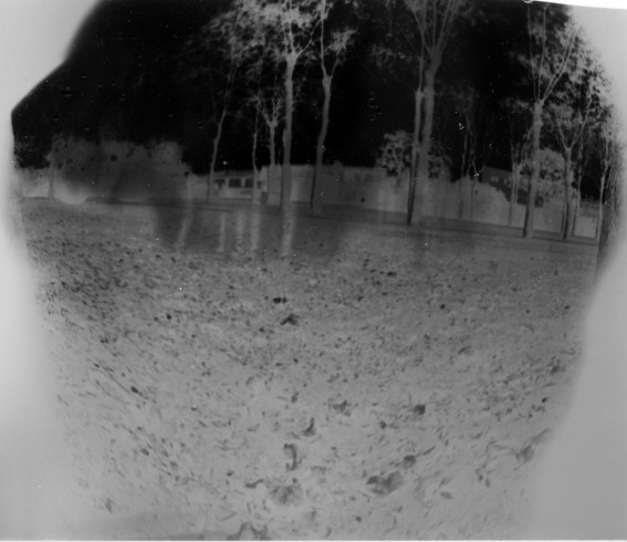 cugnaux_2611 9