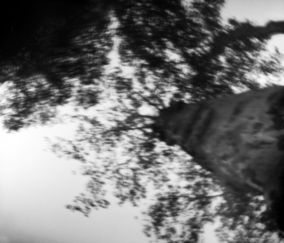 cugnaux_2711_LD 2b
