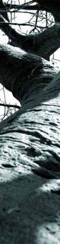 nscholtus_sentiersRouges8