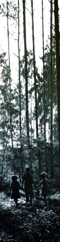 nscholtus_sentiersRouges6