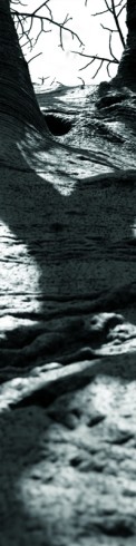 nscholtus_sentiersRouges7