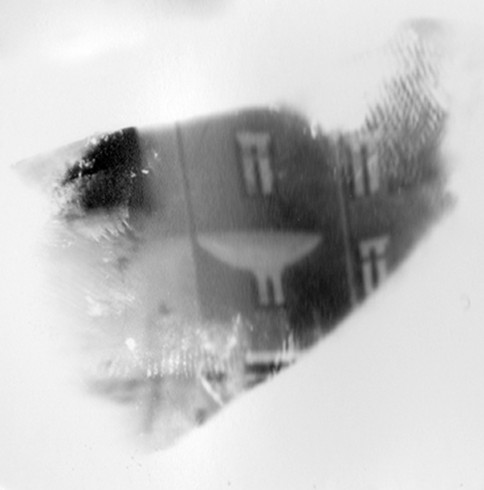 mouth 4