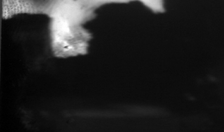 mouth 7b