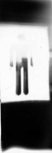 fnel 16b