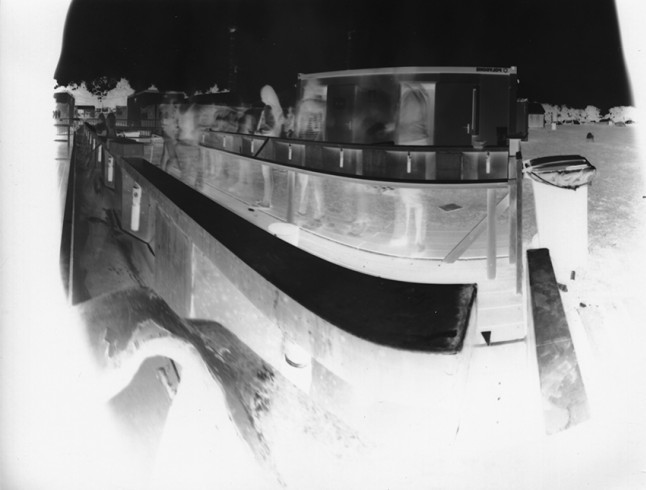 fnel 19