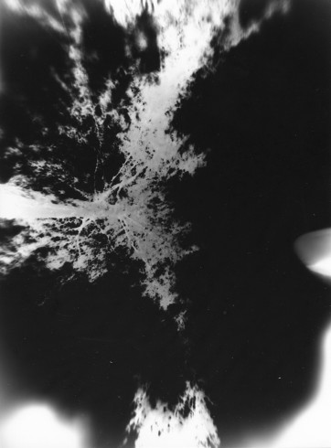 fnel 17