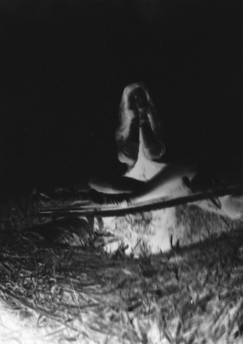 fnel23 9