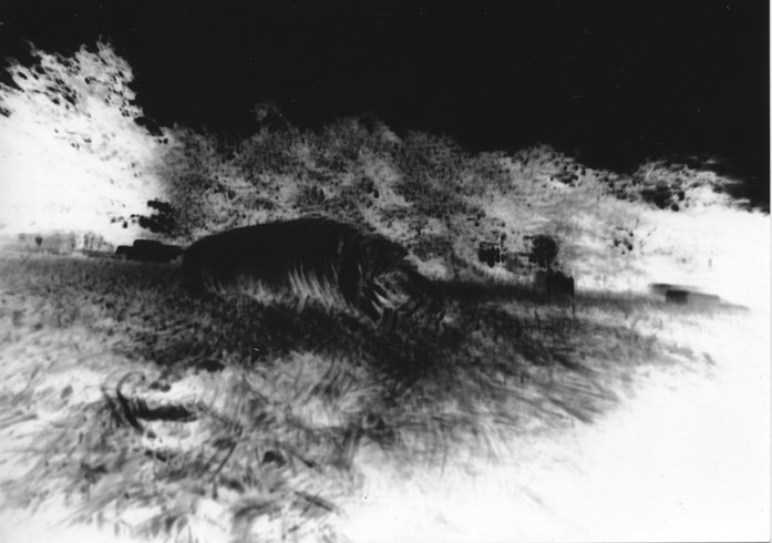 fnel23 14