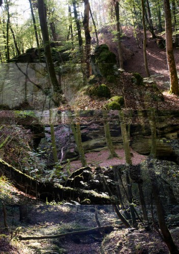 3_berdorf_LD