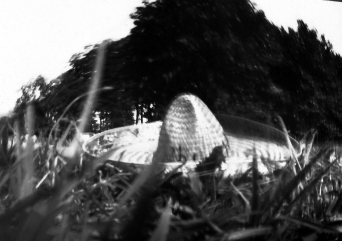 fnel25_12b