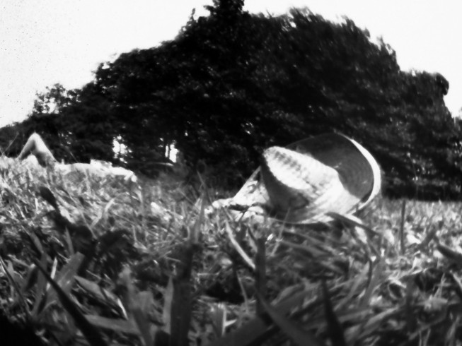 fnel25_02b