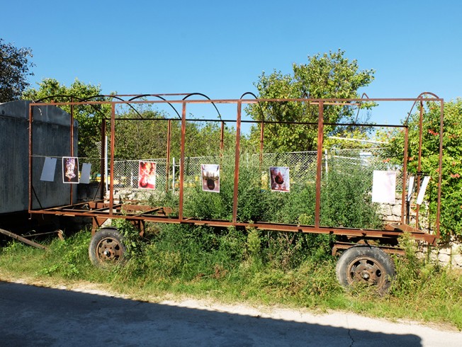 bulgaria_36