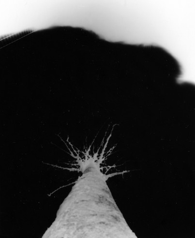 neckel