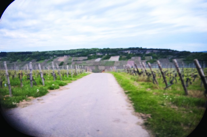 Roulot'ographie, Machtum 2015