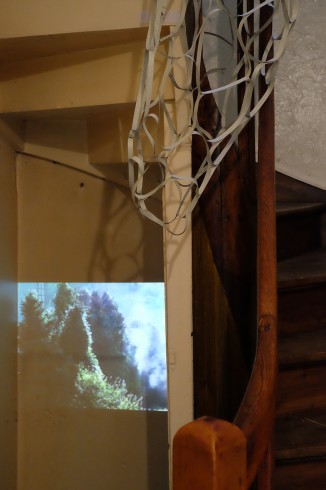 Nests
