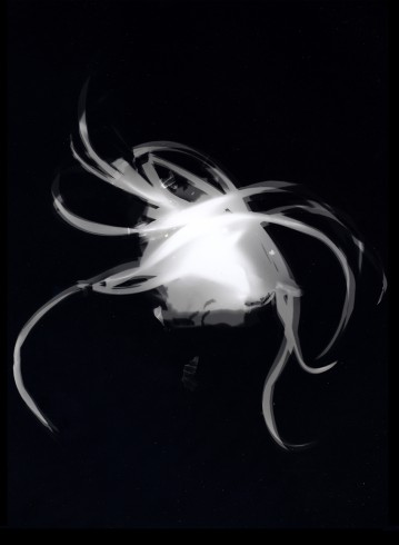 oignogramme.1