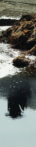 Fragment.5
