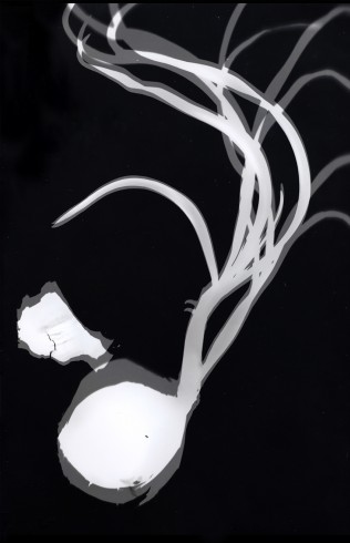 oignogramme.4