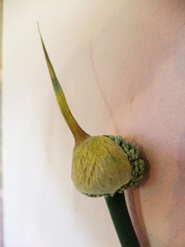 Hommage à Manot