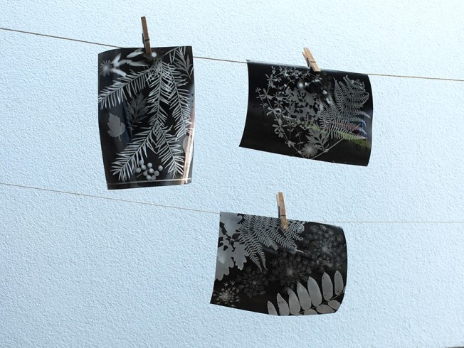 Naturparkfest_0208_08
