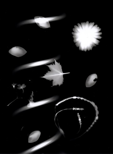 roulot'ographe_kufa0812_rayogramme2