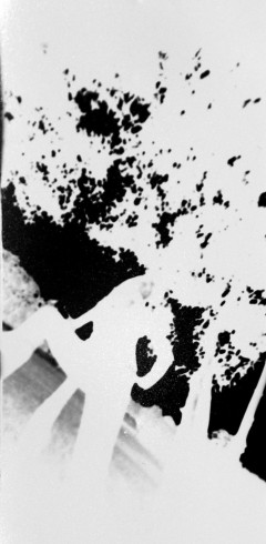sténopé9
