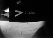 caw_21b