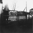 STENOPE008