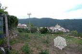 DSCF6191