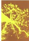 doc01008620220125111546